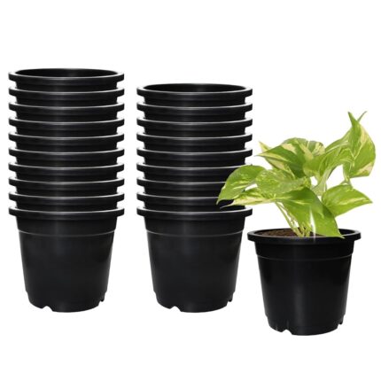 Amazon Brand - Solimo 100% Virgin Plastic Round Nursery Planter Pot|Indoor and Outdoor Flower Pot for Home/Office/Table/Garden/Balcony Decoration|6 Inch(Set of 20),Black
