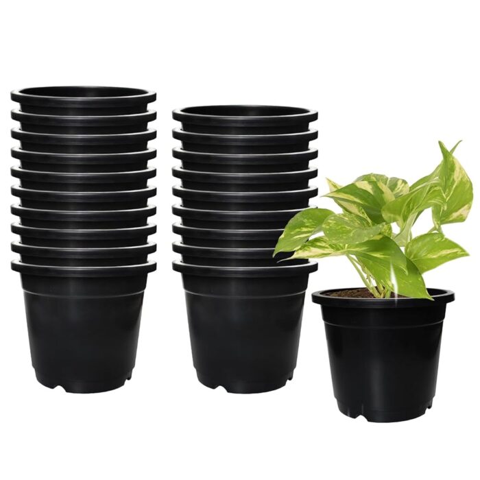 Amazon Brand - Solimo 100% Virgin Plastic Round Nursery Planter Pot|Indoor and Outdoor Flower Pot for Home/Office/Table/Garden/Balcony Decoration|6 Inch(Set of 20),Black