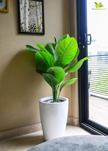 Blooming Floret Artificial Jiamei Tourist Banana Plant for Home/Office Decor/Gifting | 102 cm Tall Ornamental Plant with Basic Black Pot | Natural Looking Leaves | Pre-Potted...