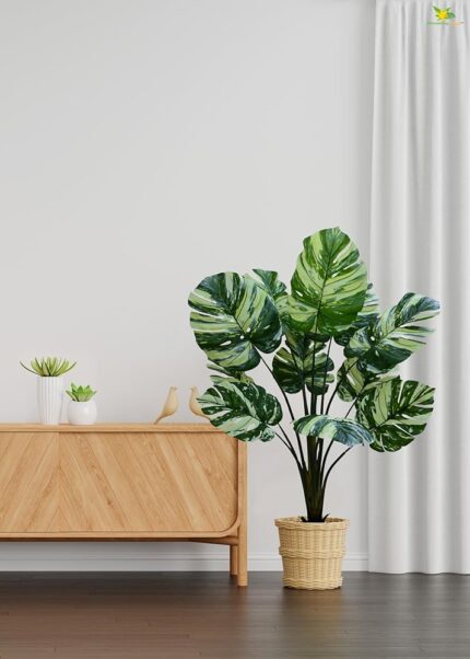 Blooming Floret Artificial MonsteraTree with Basic Black Pot | 11 Contrasting Leaves in Green & White | Big Ornamental Tree for Interior Decor/Home Decor/Office Decor | 135cm...