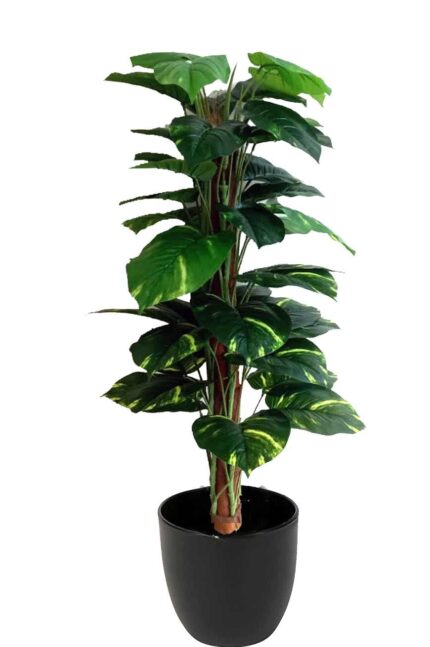 HYPERBOLES Indoor Artificial Plant Big Size Money Plant Tree Witout Vase for Home Decor - 5Feet
