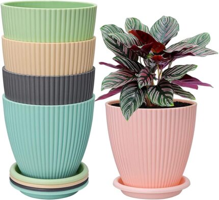 INKULTURE Plastic Round Flower Pot with Tray | Plant Pot for Home, Terrace, Garden Etc | Planter | Pack of 05 | Multicolor | Size 6.5 Inch | for Home Indoor & Outdoor Gardening