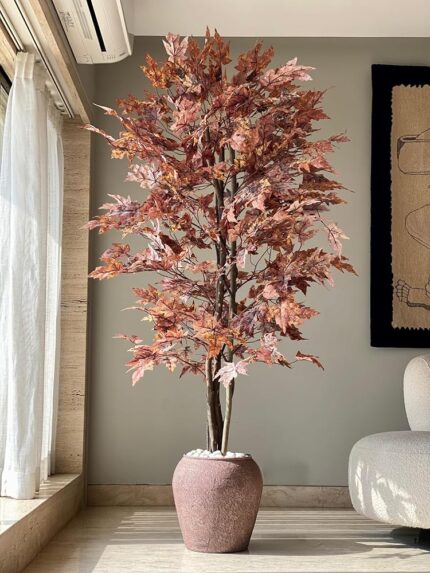 MASON HOME Artificial Canadian Maple Plant Without Pot - 6.5 Feet | Realistic Plant - Trees - Flowers | Indoor Tropical | Home - Shop - Office | Gifting - Décor - Ambience -...