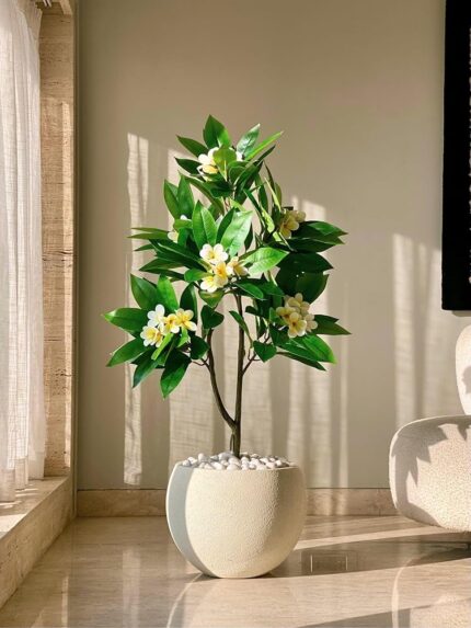 MASON HOME Artificial Frangipani Bloom Plant Without Pot - 4 Feet | Realistic Plants - Trees - Flowers | Indoor Tropical | Home - Shop - Office | Gifting - Décor - Ambience -...